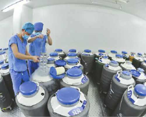 香港验血出结果会电话通知吗_幸运双胞胎到香港验血记录_查男女详细流程,告诉