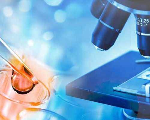 离心泵的基本参数_水瓶男追双鱼女有希望吗为什么会喜欢