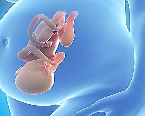 香港验血查男女联系方式_香港验血结果Y生了男孩？查胎儿性别需要哪些手续亲