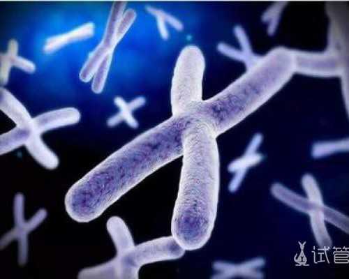 香港验血邮寄6天出结果_怀孕6周验血测性别,告诉你不知道的那些事儿