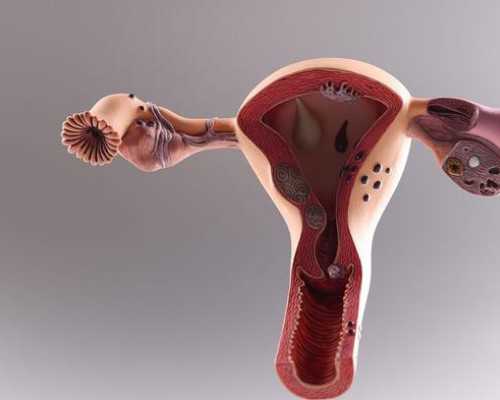 香港验血多久可以验_香港验血测性别要几周左右才可以验_你想了解的都在这了