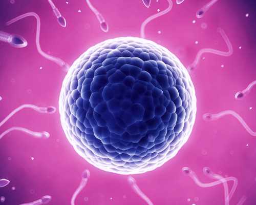 香港诊所验血没有医生签字_hklab化验所几点上班dna胎儿性别哪个组织最好