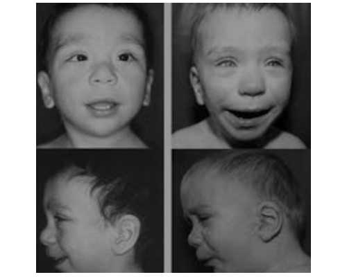 香港验血查男女需要注意什么_怀孕两个月决定去香港验血了_亲身经验给大家