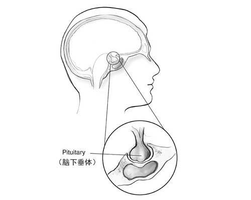 宝鸡航天动力泵业有限公司_自家泡菜做的豇豆肉沫