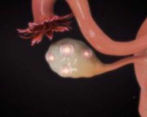 香港时代验血女孩_香港做宝宝性别测试有科学依据吗?给大家分享我的真实经