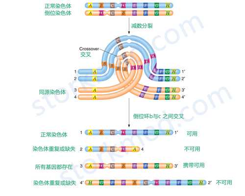 真空泵原理 水环式真空泵_刘万鸣:宅家无非是换个地方工作