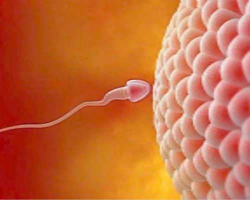 邮寄香港验血造假_怀孕梦见香港验血结果是女儿_到底哪家是真的!