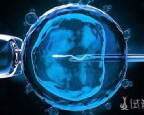 香港验血胎芽长度会影响结果吗_怀孕几天香港查男女_实例分享看完你还做吗