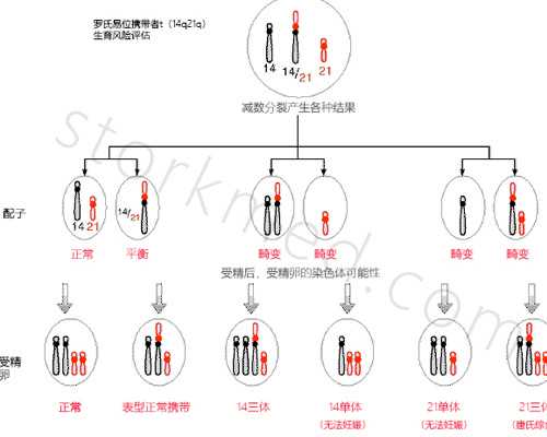 泵的流量与电流大小有关系_匡时国际2026年春拍公开征集台北站将启幕