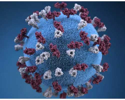 热水循环泵哪个品牌的好用_蘇富比全球葡萄酒主管施慧娜离职