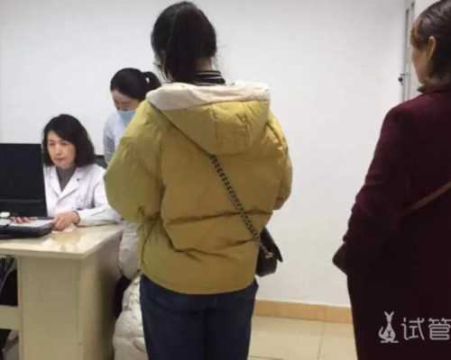 卡默尔蠕动泵Fx stp说明书_阿涅丝