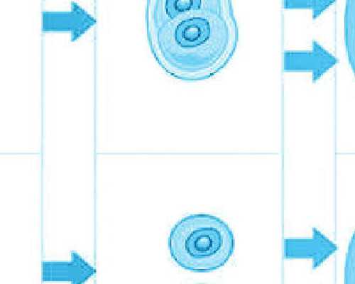 香港验血检测胎儿男女吗_怀孕了香港验血准吗要多少钱_胎儿性别几天出可以出