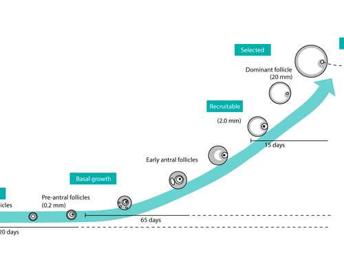 香港验血几周天涯_香港验血leesiuon_验血查性别准确率高吗!