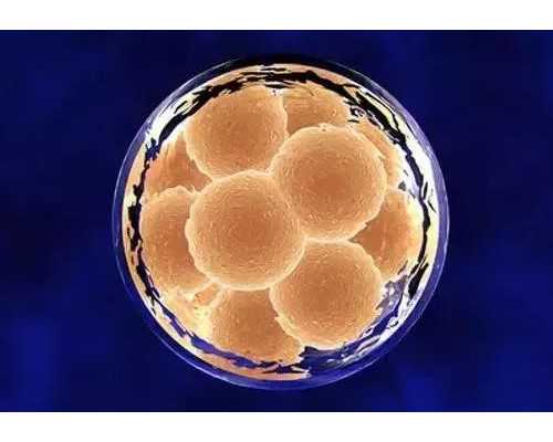 香港邮寄血样验血靠谱吗,去香港验血查性别需要符合什么条件,如何预约