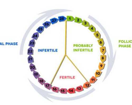 香港验血电话号码_香港化验血生男孩可信吗?多久最准？