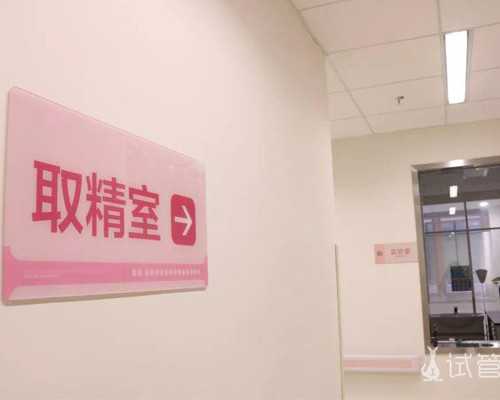 蠕动泵怎么画_鲍里斯·格洛伊斯：艺术的真相(下)