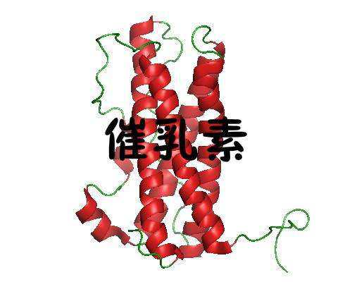 早孕46天香港验血_香港化验血生男孩有不准的吗?要几周?