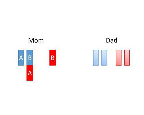 胰岛素泵英文读法_冬季减肥小习惯悄悄变瘦