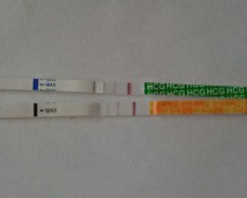 怀孕45天香港验血_香港九龙有验血吗_测性别哪家化验所权威