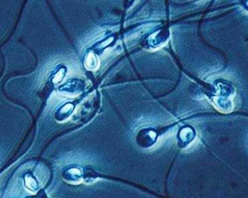 到达香港测男女验血_去香港验血查男女怎么预约诊所,其实很简单