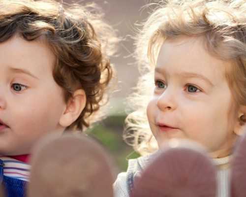 转子泵工作原理动画_文夏：共同的困难，不同的难点——美术馆的财源困境