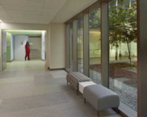 怀孕到香港验血可以吃叶酸吗_香港验血对孕妈妈有哪些要求?要多少钱?