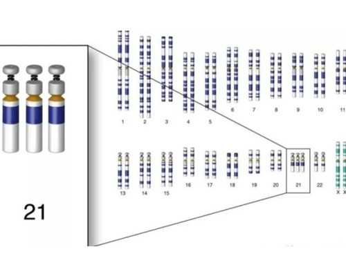 香港验血鉴定男女报告单是怎么样的,香港信康验血准不准_该如何预约希望可以