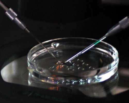 孕六周和七周香港验血,上海抽血送香港验血_查男女检测机构哪家正规!