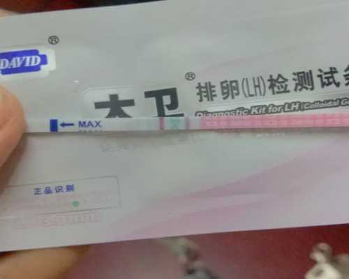 验血能验出男女送香港验_香港哪个医院可以鉴定胎儿性别_你想知道的都在这！