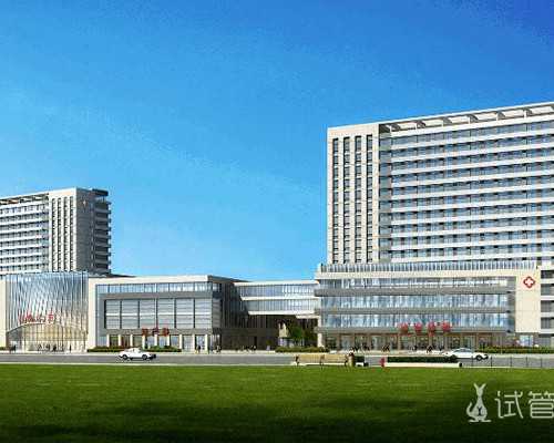 香港验血女宝准不_有去香港验血测男女的吗_最关键的流程都在这里!