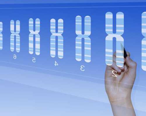 香港验血性别邮寄_怀孕七周怎么知道男女_鉴定性别是男宝,有可能翻盘吗