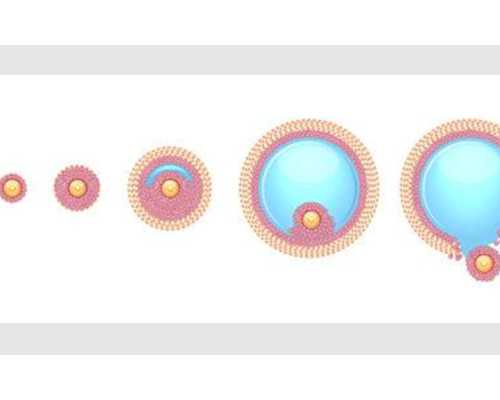 柴油泵不泵油什么原因_李一摩崖书法:当今书法的“未完成时”