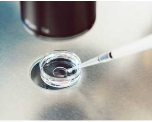 液压泵的主要性能参数的定义_中国美术馆馆长吴为山：城市雕塑应承载中国精