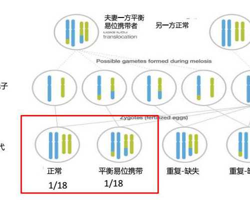 香港验血测染色体男女结果单_香港验血查性别最详细的亲身经历_验血翻盘女翻