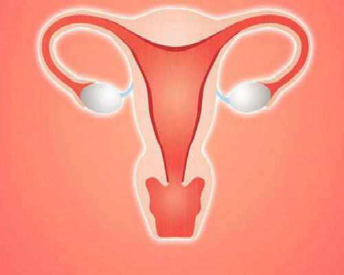 香港验血技术六周就可以_怀孕多少天可以验血_去香港抽血测男女可不可靠!