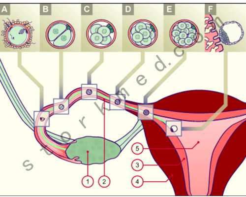 地载泵的拼音_按下“重启键”，浦东群艺馆迎“画说浦东”美术大展