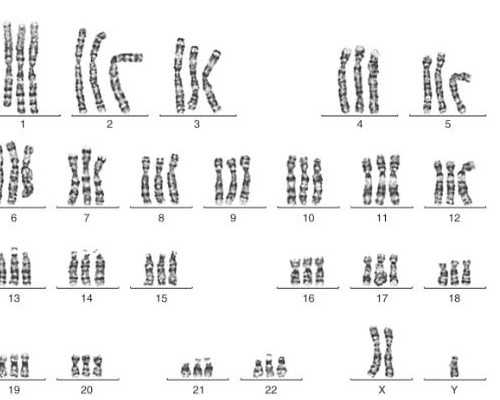 人流5个月后又怀孕了可以香港验血吗_香港验血条件有哪些?