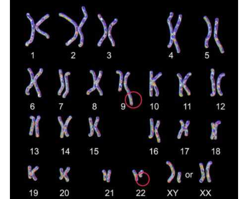 泵的拼音字母_准妈妈有癫痫会导致胎儿畸形吗