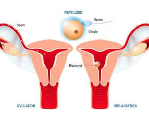 空气能热源泵和空调的区别_一直运动不掉秤是怎么回事呢一直运动减肥怎么不