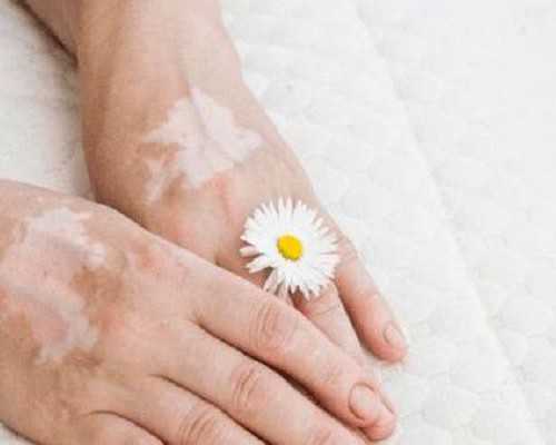 泵的组词_关于全国第十二届书法篆刻展的几点思考