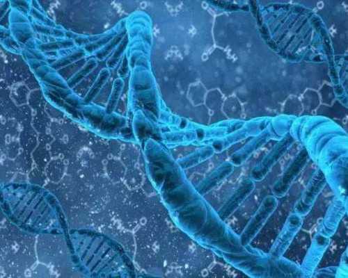 香港验血第三胎是女儿_香港验血就知道是男女孩_需要要怎么预约具备什么条件