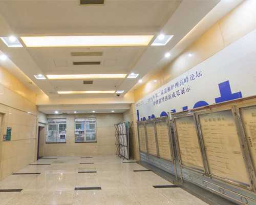 微量泵入缩写ibv_迈克尔·海泽《城市》等待半世纪后即将开放 