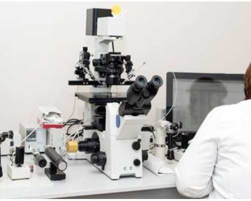 去香港验血准确率高吗_香港验血说是男孩_查男女需要什么条件!