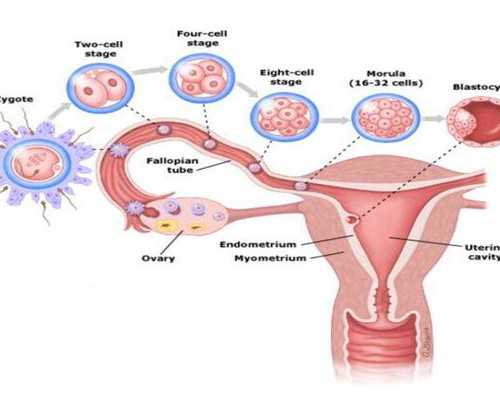 香港验血寄血保质期_香港黄嘉谋验血都是女_鉴定性别多少钱!