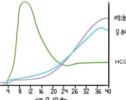 地源热泵系统工作原理_王羲之和王献之：中国书法的家族私人化