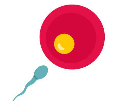 香港验血性别检测中心_wow爱它或炸了它，炸弹放哪里在线等爱它是什么东西.