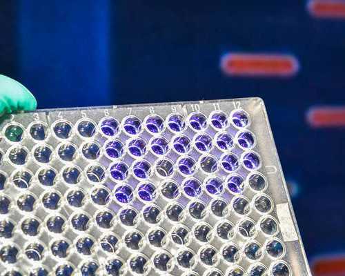 怀孕多少天可以去香港验血查男女_香港验血报告怎么看出男女_亲身经历分享给