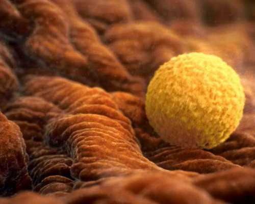 香港精准验血准确率_香港验血查询忘记验证码_几个y才是男的该如何预约