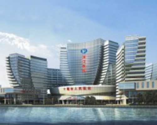 香港贝孕医疗验血单_怀孕去香港验血知道是男孩女孩多少费用,验血查男女只要