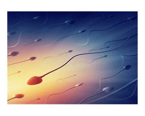 邮寄香港验血报告图片_香港最新的验血机构_验男女真的会翻盘吗!